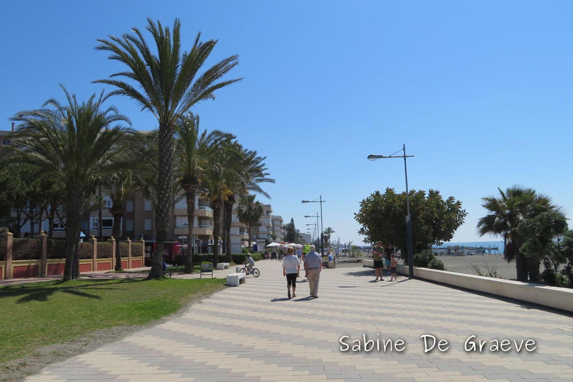 1 Bed Costaoro Apartment